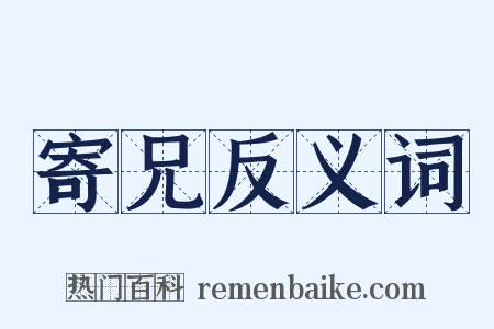 寄兄反义词是什么意思的图片